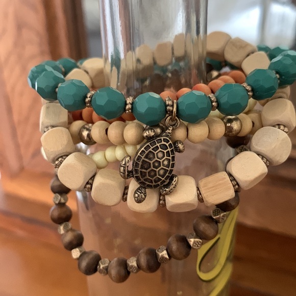 Turtle Lovers Unite! - Picture 3 of 4